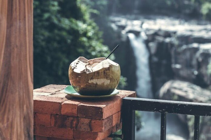 Woda kokosowa jako naturalny napój izotoniczny