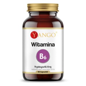 Witamina B6 (90 kaps.)