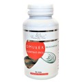 Farm-vix Maść Czarci pazur z rozmarynem 150 ml