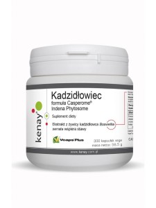 Kadzidłowiec Casperome® Indena Phytosome (300 kaps.) KENAY