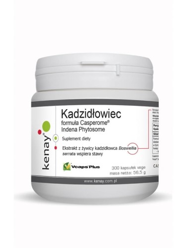 Kadzidłowiec Casperome® Indena Phytosome (300 kaps.) KENAY