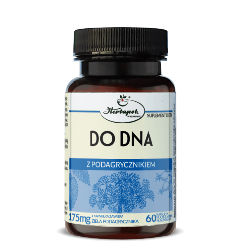 DO DNA Z PODAGRYCZNIKIEM 60 kapsułek HERBAPOL