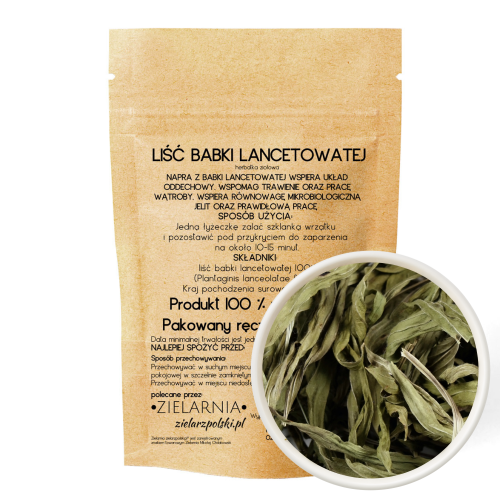 Babka lancetowata liść 50g ZIELARZPOLSKI.PL