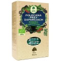 Herbatka Polecana przy Zaparciach fix BIO 25*2g DARY NATURY