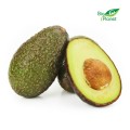 VERSE BIO AVOCADO (ongeveer 0,20 kg)