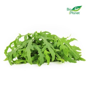 Rucola, ungewaschen, frisch BIO (polnisch) (ca. 100 g)