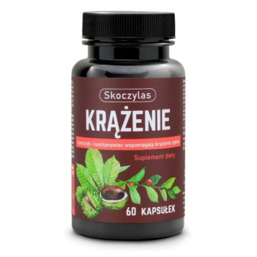 Skoczylas Krążenie 60 kap