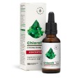 Chlorofyl concentraat witte moerbei druppels 30ml AURA HERBALS
