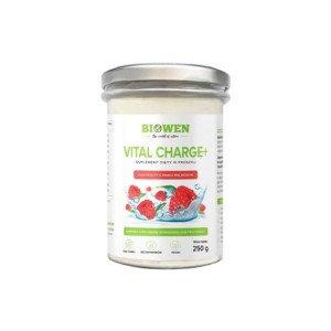 ELEKTROLITY O SMAKU MALINOWYM W PROSZKU VITAL CHARGE+ 250 g - HEMPKING (BIOWEN)
