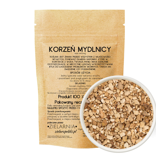 Mydlnica korzeń 50g ZIELARZPOLSKI.PL