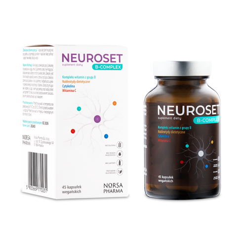 NORSA PHARMA Neuroset B-Complex (45 kaps.)