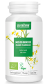 ZŁOCIEŃ MARUNA BIO (360 mg) 90 KAPSUŁEK - PURASANA