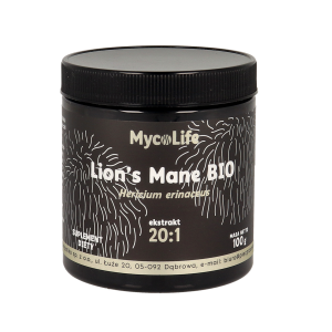 Lion's Mane grzyb BIO ekstrakt 20:1 100g MYCOLIFE - soplówka jeżowata