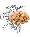 Orzechy nerkowca BIO 1 kg BIOGO