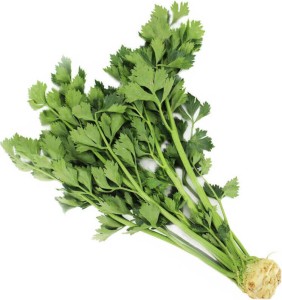 CELERY WITH STALK FRESH BIO (POLAND) (about 0.30 kg)
