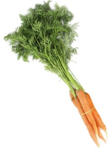 YOUNG CARROT WITH GREENS FRESH BIO (POLAND) (approx. 0.30 kg)