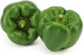 VERSE GROENE PEPERS BIO (ongeveer 0,50 kg)