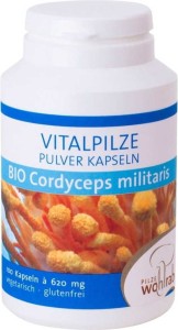 CORDYCEPS MILITARIS MUSHROOMS BIO 100 CAPSULES (500 mg) - PILZE WOHLRAB