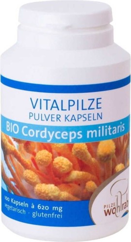 CORDYCEPS MILITARIS MUSHROOMS BIO 100 CAPSULES (500 mg) - PILZE WOHLRAB