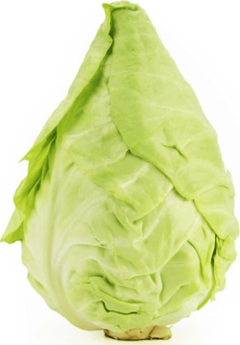 FRESH POINTED CABBAGE BIO (POLAND) (about 0.70 kg)