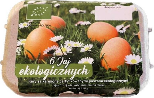 Eggs "L" 6 pcs EKO