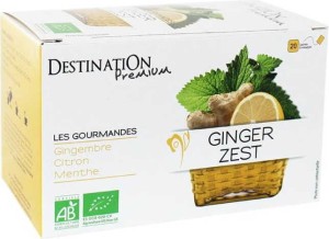 Ginger-lemon infusion tea 20x1.5g EKO Destination
