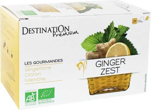 Infuso Zenzero-Limone 20x1.5g EKO Destination