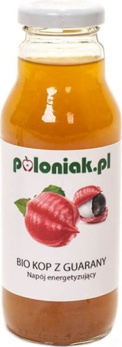 BIO KICK ENERGY DRINK GUARANA BIO 300 ml - POLONIAK