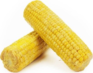 SWEET CORN  BIO (około 0,40 kg)