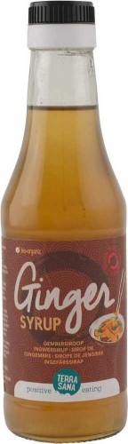 GINGER SYRUP BIO 250 ml - TERRASANA