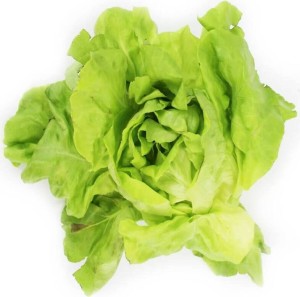 BUNDELPAKKET (stuks) - BIO VERSE BOTERLETTLE (POLEN) (ongeveer 8 stuks)