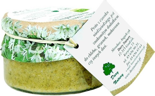 PESTO Z CZOSNKU NIEDŹWIEDZIEGO BIO 200 g - DARY NATURY