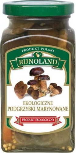 MARINATED MUSHROOM BOLETUS  BIO 300 g - RUNOLAND