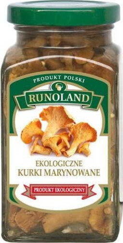 MARINATED CHANTARELLE BIO 300 g - RUNOLAND