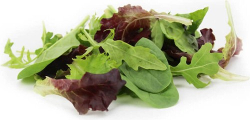 BIO FRESH SALAD MIX (about 0.125 kg)