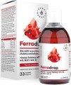 FerraDrop goed opneembaar ijzer + vloeibaar foliumzuur 500ml Aura Herbals