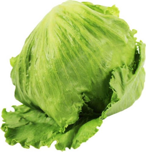 SAŁATA LODOWA ŚWIEŻA BIO (około 0,30 kg)