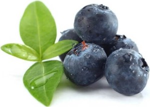 BIO VERSE BOSBES (ongeveer 0,125 kg)