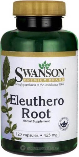 Eleuterokok kolczasty Eleuthero Root 425mg 120 kapsułek SWANSON