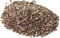CHIA - SEEDS SPANISH SAGE BIO (RAW MATERIAL) (25 kg)