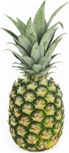 BIO VERSE ANANAS (ongeveer 0,80 kg)