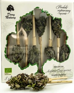 Thé de rafraîchissement à la menthe sur un bâton BIO (8 x 3 g) - DARY NATURY