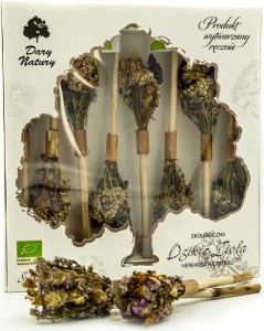 TEA ON A STICK WILD HERBS BIO (8 x 2,9 g) - DARY NATURY
