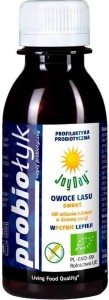PROBIOTIC DRINK FOREST FRUIT SWEET BIO 125 ml - JOY DAY