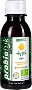 PROBIOTIC DRINK MINT BIO 125 ml - JOY DAY
