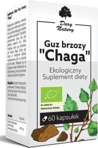 GUZ BRZOZY CHAGA BIO 60 KAPSUŁEK (470 mg) - DARY NATURY