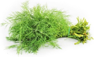 VERSE Dille (PĘCZEK) BIO (POLEN) (ongeveer 50 g)