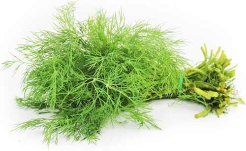 VERSE Dille (PĘCZEK) BIO (POLEN) (ongeveer 50 g)