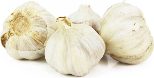 VERSE BIO KNOFLOOK (POLEN) (ongeveer 125 g)