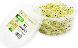 BIO VERSE LUCERNA (ca. 50 g)